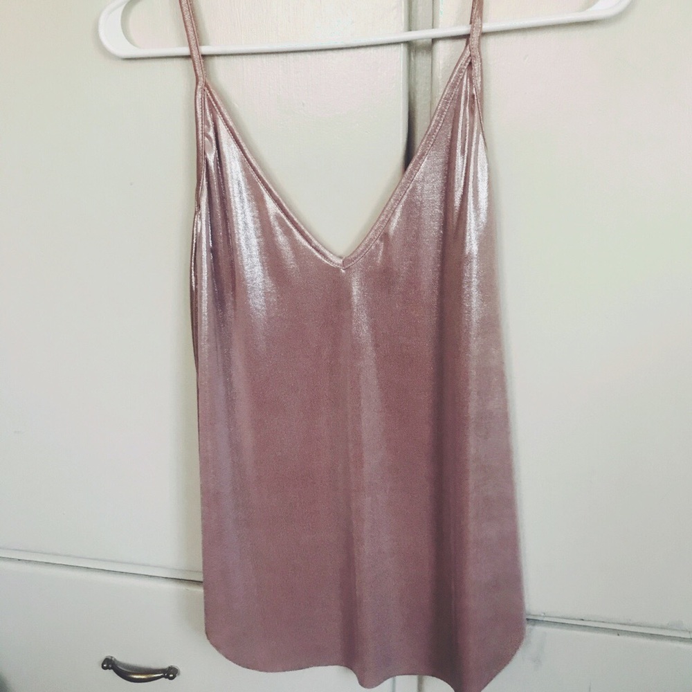 Sheer Baby Pink Top
